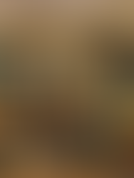 Gala Dinner dan ALSA Anniversary ke 22