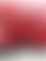 Pra-Musyawarah Nasional & ALSA Leadership Training XXIII