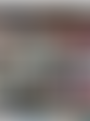 Pra-Musyawarah Nasional & ALSA Leadership Training (PALT)