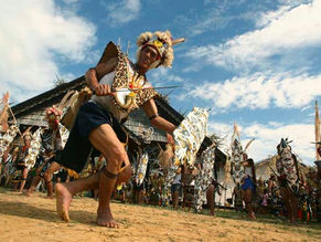 THE INDIGENOUS PEOPLE VS THE GOVERNMENT LAND DISPUTES IN INDONESIA