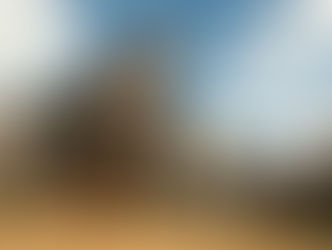 THE INDIGENOUS PEOPLE VS THE GOVERNMENT LAND DISPUTES IN INDONESIA