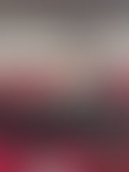 Pencapaian Gemilang dari ALSA LC Unhas pada Semunas XXXII ALSA Indonesia