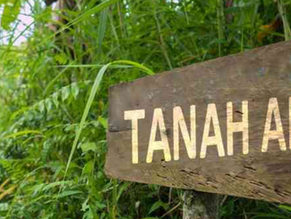 Tanah Adat Diambil Negara atau Perusahaan: Ke Mana Masyarakat Mengadu dan Apa Upaya Hukumnya?