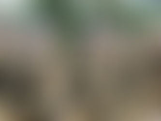 Virginity Tests for Female Military Recruits and Fiancées of Military Officers in The Indonesian Arm