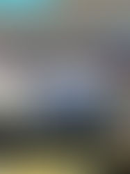 Mengembangkan Potensi Sumber Daya Manusia, ALSA LC Unhas Kembali dengan Program Magang di berbagai Instansi dan Firma Hukum