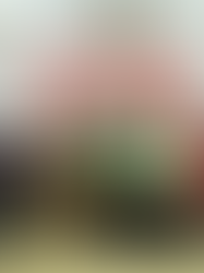 ALSA Care and Legal Coaching Clini