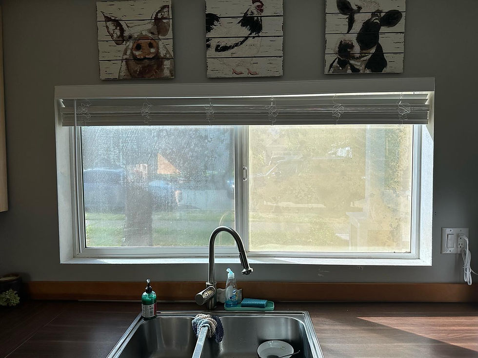 foggy window broken seal