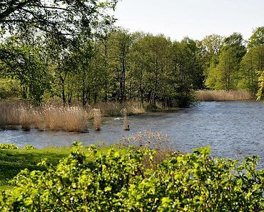 Erholgungsort am Bistensee