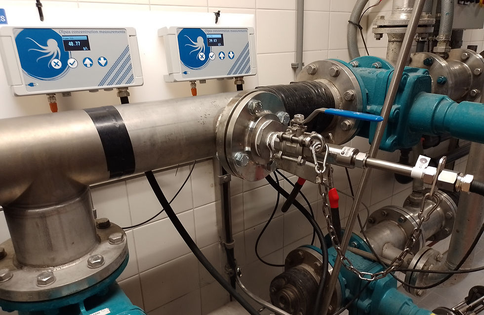 Olpas Sludge inlet concentration measurements