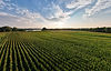 Farmland