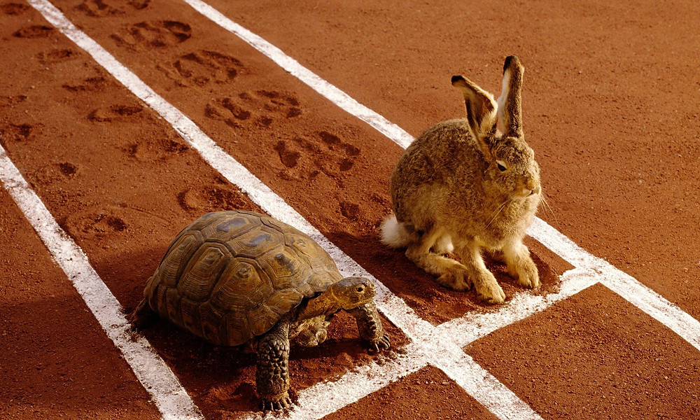 Slow & steady wins the race