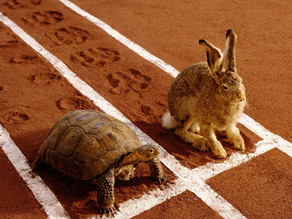 Slow & Steady.......