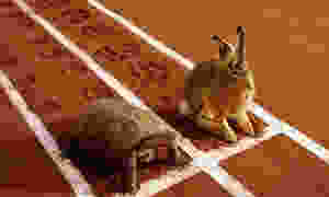 Slow & steady wins the race