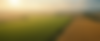 MP_-_Cultivating_change__designing_a_nature-positive_food_system.png