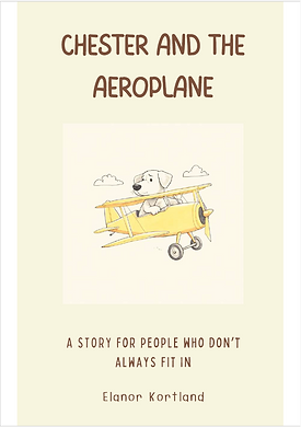 Front cover of the children's book, Chester and the Aeroplane