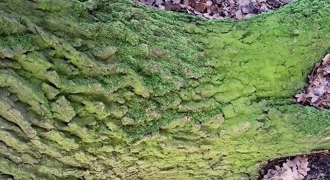 20210114_153156_edited.jpg