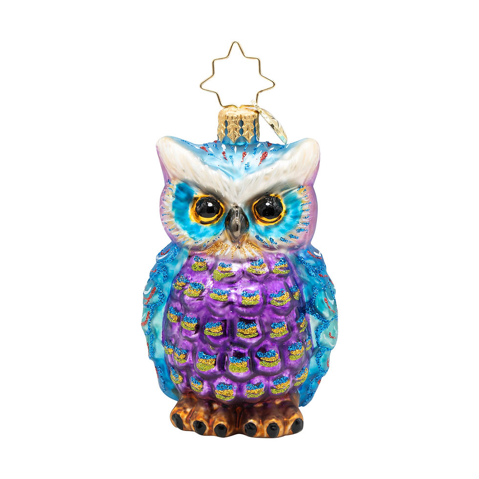 Christopher Radko Regal Feathered Friend Gem 1022721 Owl Ornament