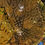 Thumbnail: Turkish-Moroccan Fusion Gold Laser Cut Hanging Chandelier: A Modern Marvel