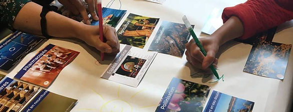 biodiversity collage photo