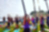 Big group stretching on International Yoga Day in Hawaii