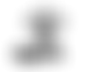 Reporter/Correspondent – Winnipeg MB