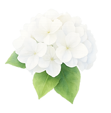 6811130C-F5BC-47BF-969E-C19FAFEFD297_edited.png