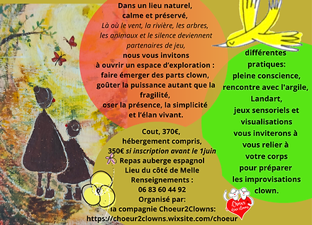 description du stage clown et nature