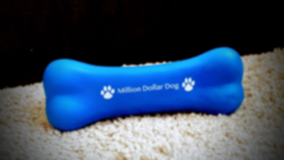 Squeaky Toy