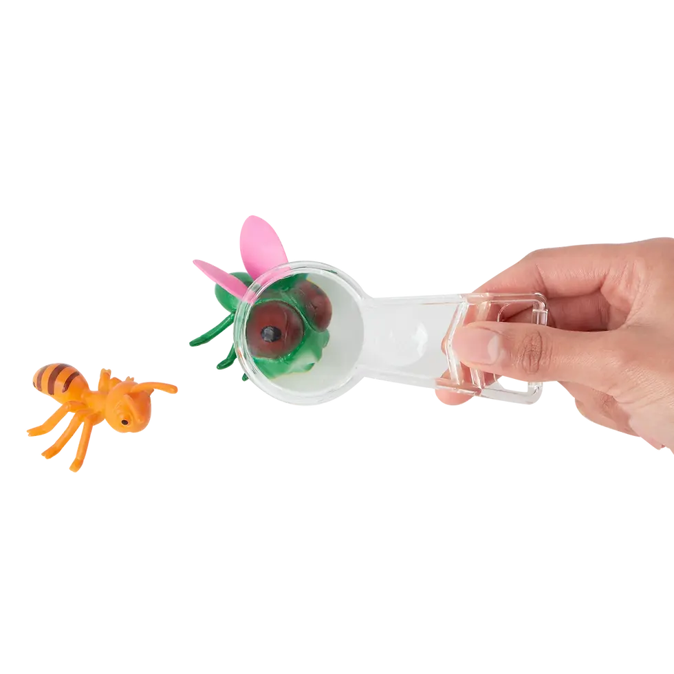 Thumbnail: Mini Catcher’s Kit Set per catturare gli insetti