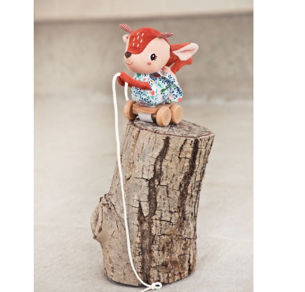 STELLA TRAINABILE LEGNO E STOFFA