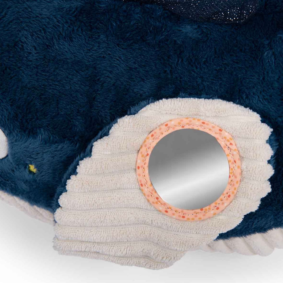 Thumbnail: La Grande Balena Attività cm. 54 con Cucciolo