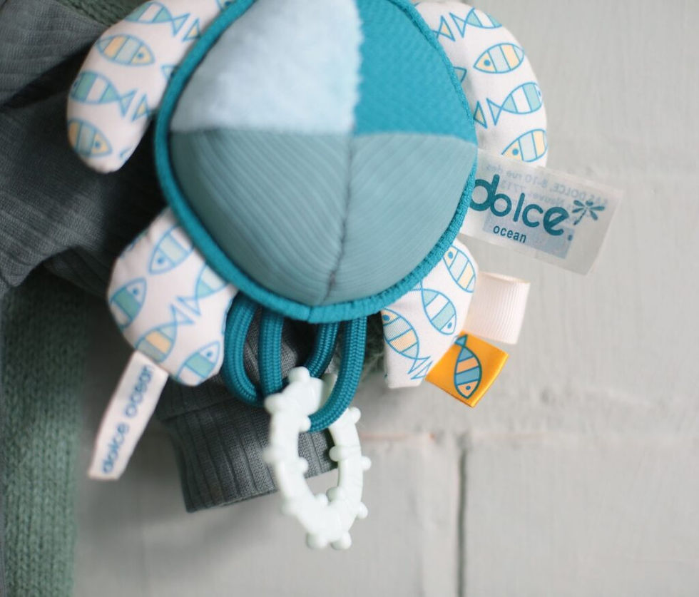 Miniatura: Flippy la Tartaruga Attività da Appendere