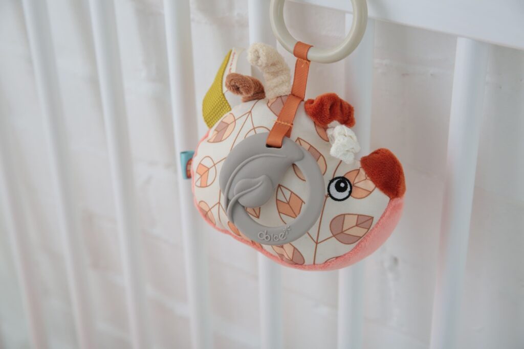 Harry il Porcospino Attività