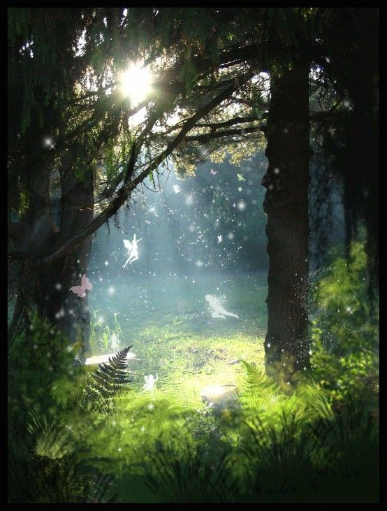 bildquelle: Pinterest