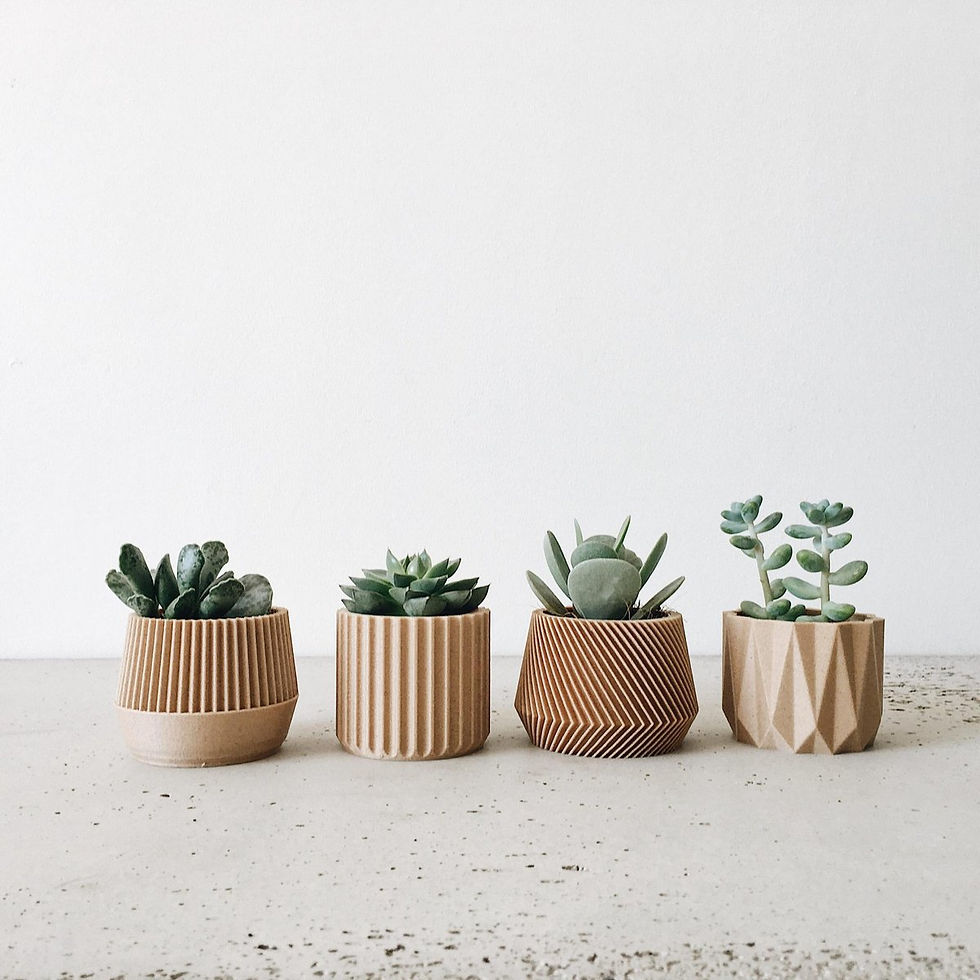 4 mini pots imprimé 3D en bois et cactus
