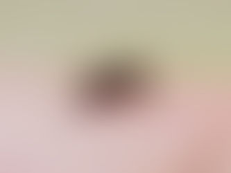 SSG intensifica vigilancia por dengue en Salamanca; colocan más de mil ovitrampas