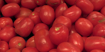 Aumentan precios de productos básicos en mercado Tomasa Esteves