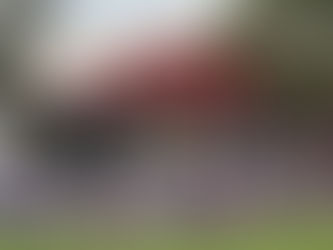 Consigue Petroleros 12 refuerzos para el próximo torneo