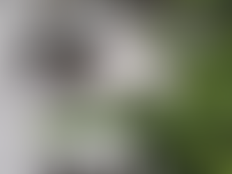 Se pronostican tardes con lluvia, cielos nublados y posibles tormentas eléctricas para Salamanca