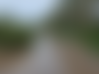 Lluvias sacan a flote la realidad del Lerma en Salamanca