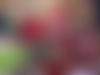 Zona Escolar 530 realiza su tradicional Muestra Navideña en el Jardín Principal de Salamanca