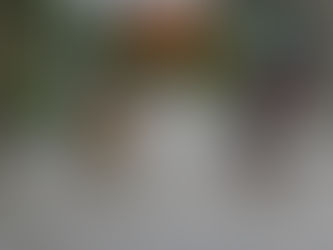 Se degrada Alberto a depresión tropical, aún se esperan lluvias en el estado