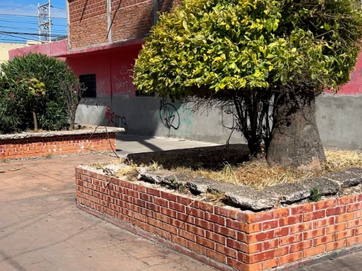 Exigen acciones contundentes contra destrucción del andador San Antonio