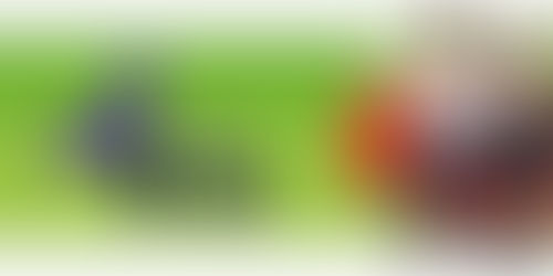 Presentan "El Nuevo TV4 es tuyo"