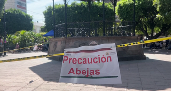 Recomiendan no acercarse al quiosco del jardín principal por presencia de abejas