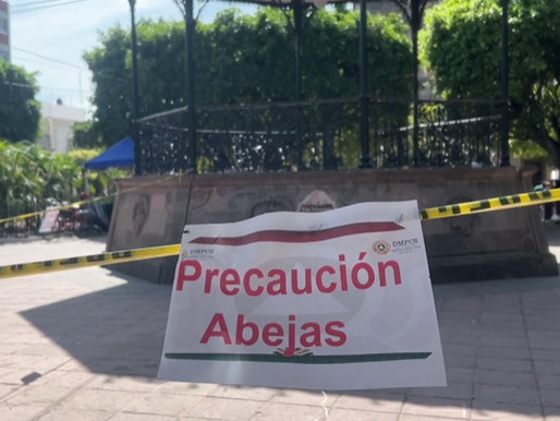 Recomiendan no acercarse al quiosco del jardín principal por presencia de abejas