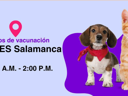 Este viernes 7 de noviembre arranca la segunda campaña de vacunación canina y felina 2025