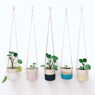 hanging planters