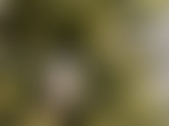 12 Days of Giveaway Merriment and Holiday gift ideas!