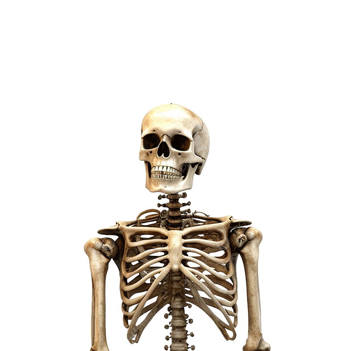 skeleton.gif